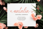 Merlynea Font