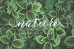 Merrabella Font