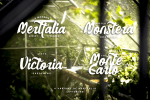 Merttalia Modern Script Font