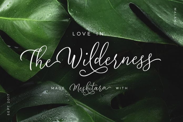 Meshitara Elegant Font