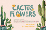 Metorius Font