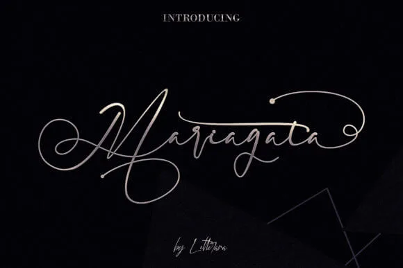 Metrix Snake Font