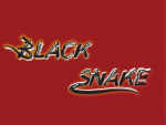 Metrix Snake Font