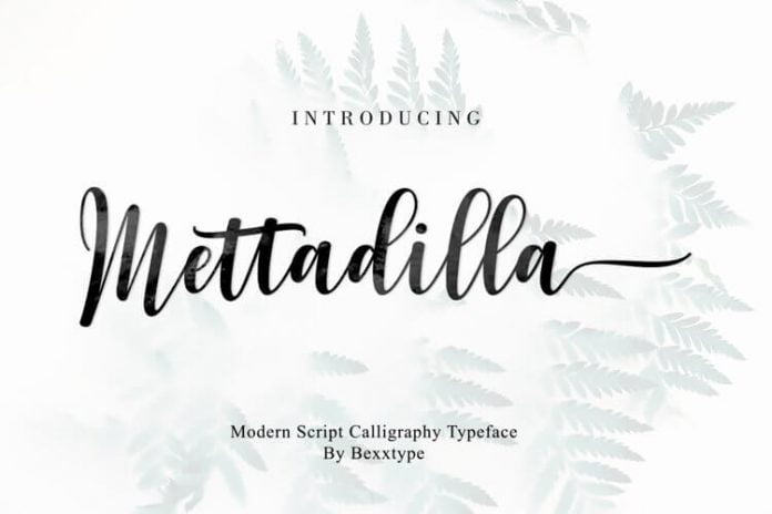 Mettadilla Script Winter Collection