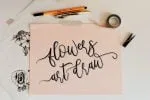 Metteora lovely script