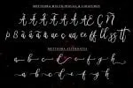 Metteora lovely script