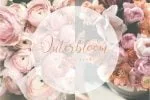 Micheline Font