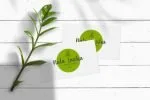 Michella Garden Font