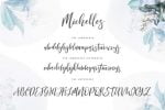 Michelles Script Font