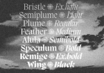 Migra Font Family
