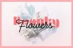 Mijuo Modern Font
