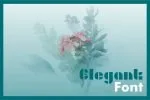 Mijuo Modern Font