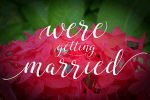 Milagros Font