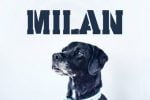Milan Stencil Font