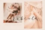 Milda Font
