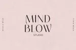 Milk and Wild - Elegant Stylish Sans Serif