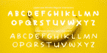 Minako Font