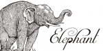 Mirella Script Font