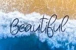 Miss Lavanda Font