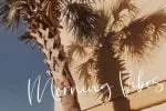 Missy Font