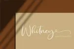 Missy Font
