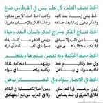 Mizan Arabic Typeface