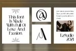 Modern & Aesthetic - Delmera Font