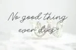 Moelya- Script Font