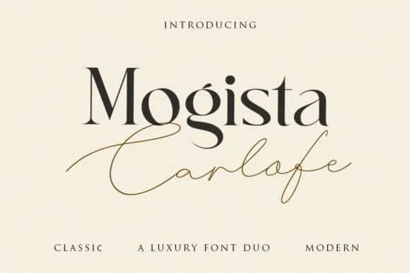 Mogista Carlofe Font