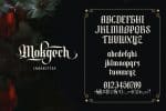 Mokgech Typeface Font