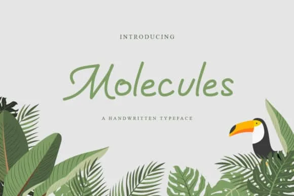 Molecules Script - Feminine Handwritten Font