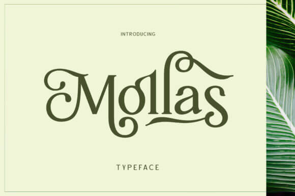 Mollas Font