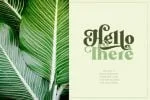 Mollas Typeface