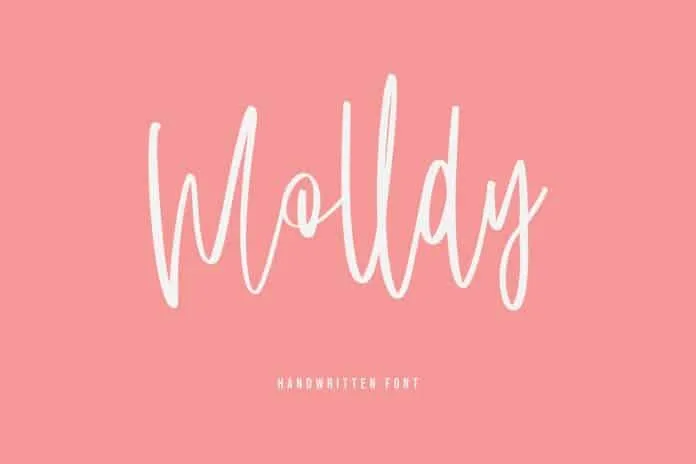 Molldy Handwritten Modern Script Font Brush Type