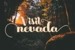 Mollgarete Script Font