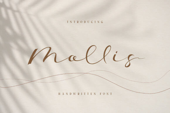 Mollis Font
