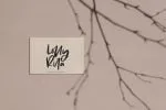 Molly & Elroy - Bold Script Font
