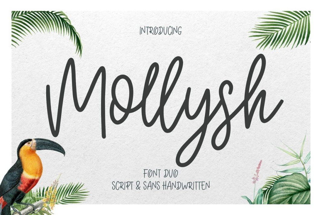 Mollysh Calligraphy Font