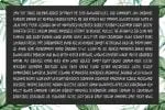 Mollysh Calligraphy Font