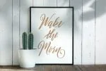 Moltress Script