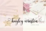 Moneyhoney Font