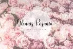 Moneyhoney Font