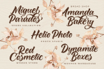 Monicha Script Font