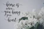 Monisa Script