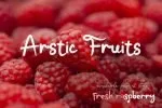 Monkey Puzzles Font