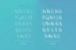 Monly Extended Font