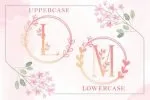 Monogram Handrawn Floral Font