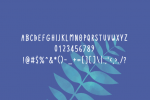 Monson Font