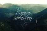Monster Script Font