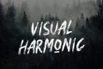 Montanas Brush Font
